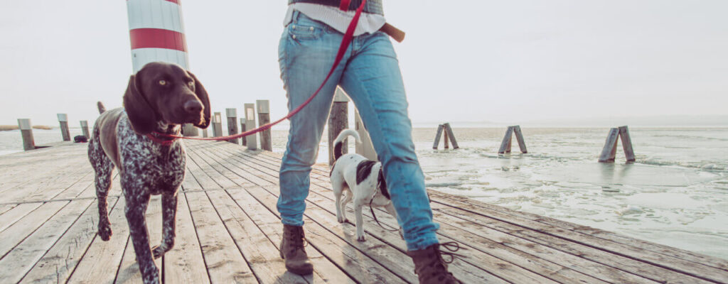 5 Tips To Get More Physical Activity In Your Routine